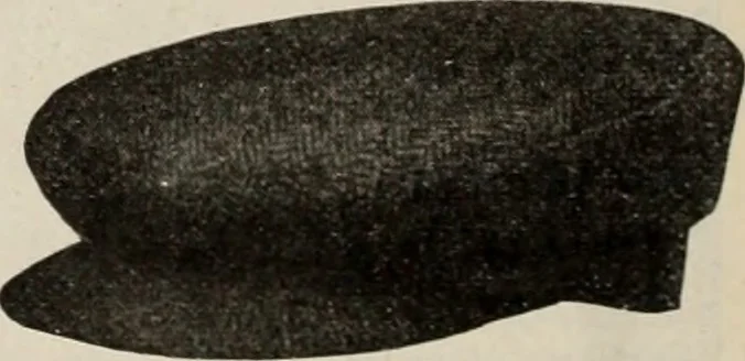 An illustration from Style (1904), 1904, leaf 1063