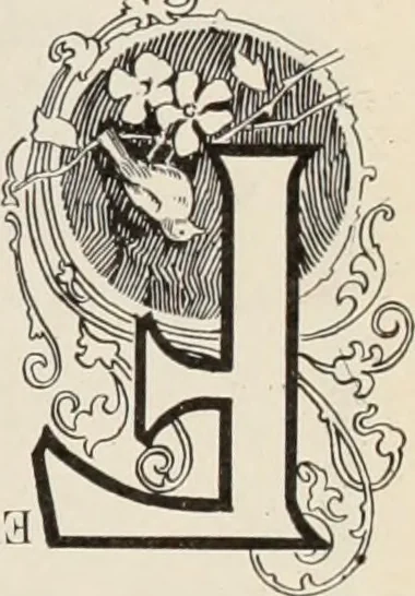 An illustration from Style (1904), 1904, leaf 107