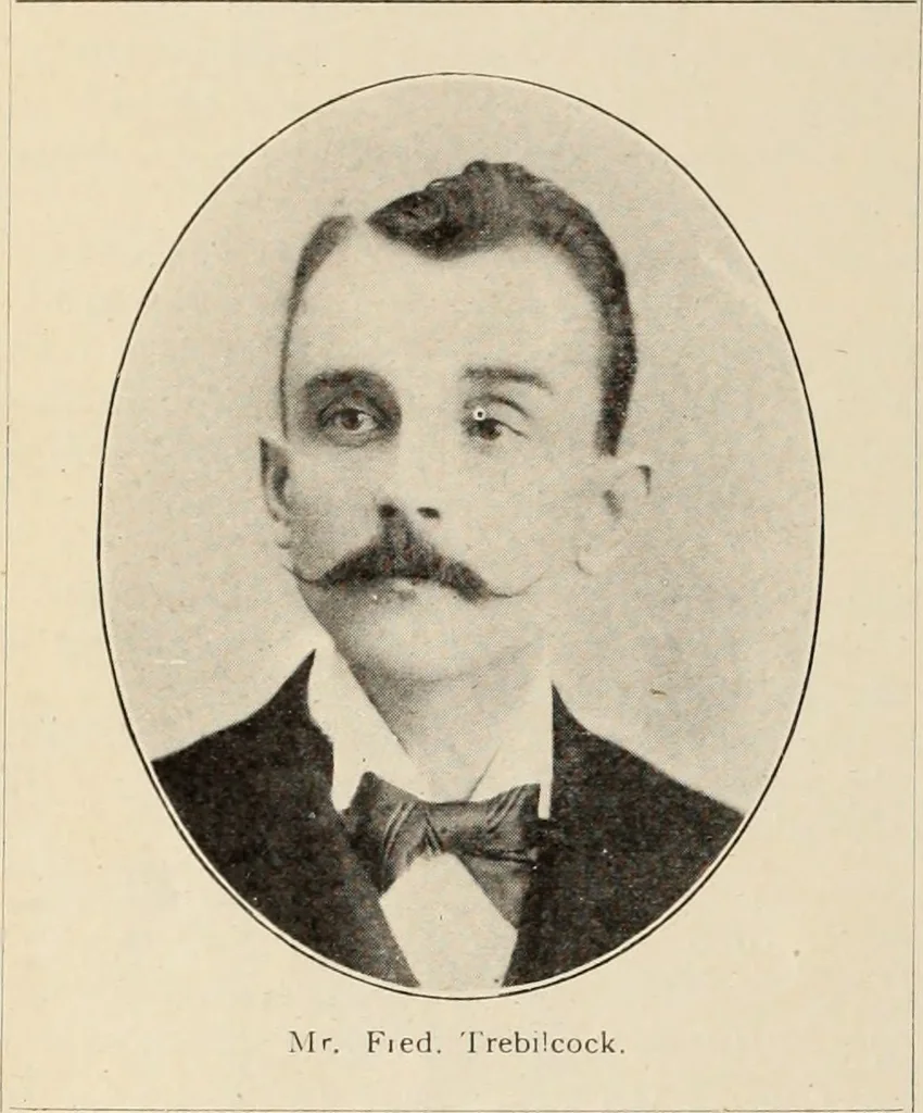 An illustration from Style (1904), 1904, leaf 1081