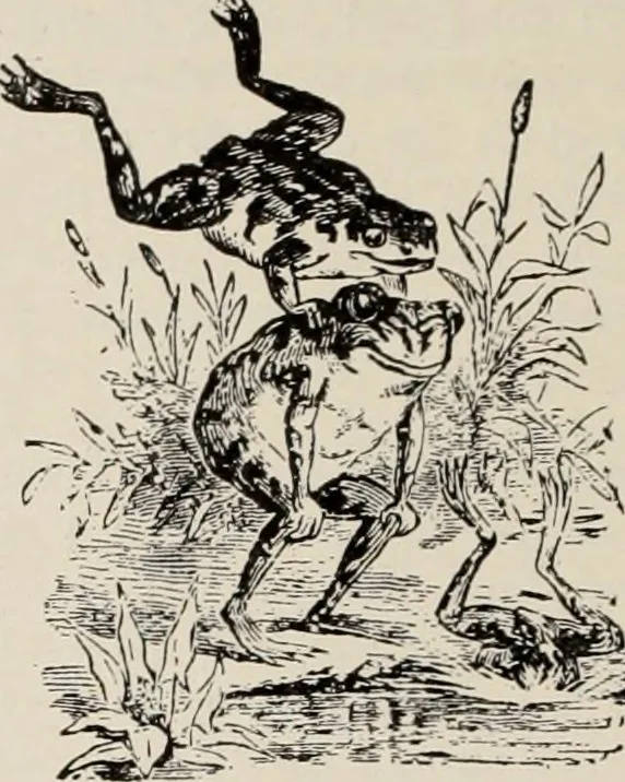 An illustration from Style (1904), 1904, leaf 109