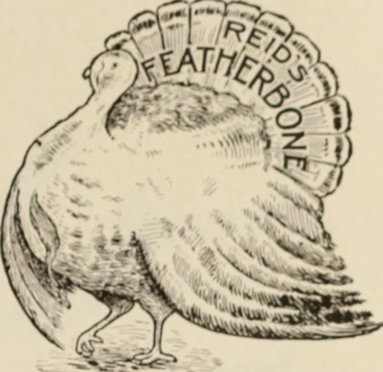 An illustration from Style (1904), 1904, leaf 1112
