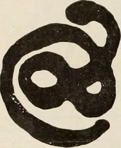 An illustration from Style (1904), 1904, leaf 1113