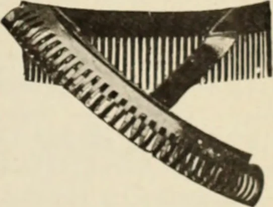 An illustration from Style (1904), 1904, leaf 1176
