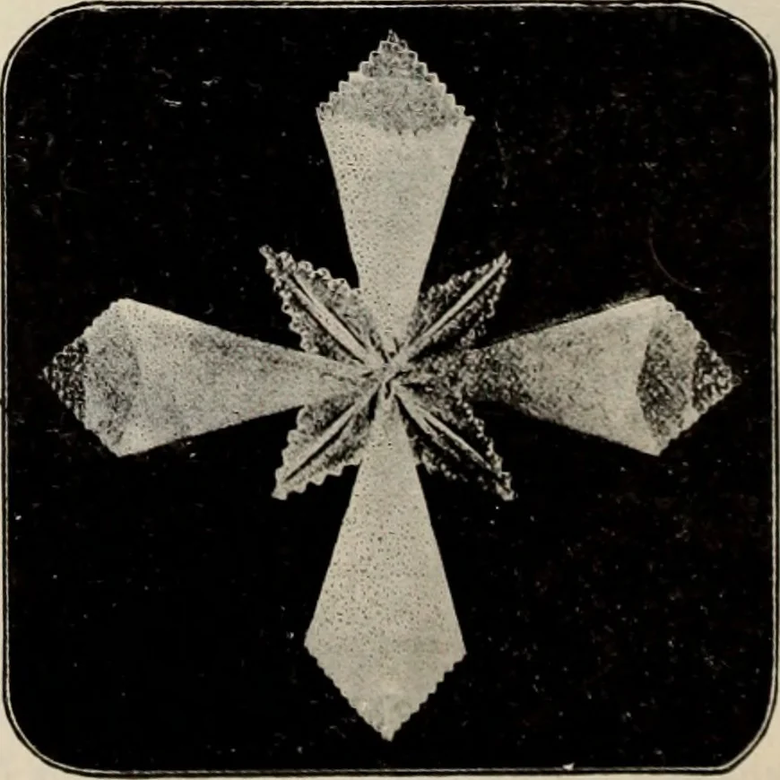 An illustration from Style (1904), 1904, leaf 1207