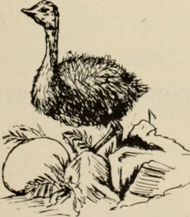 An illustration from Style (1904), 1904, leaf 1224