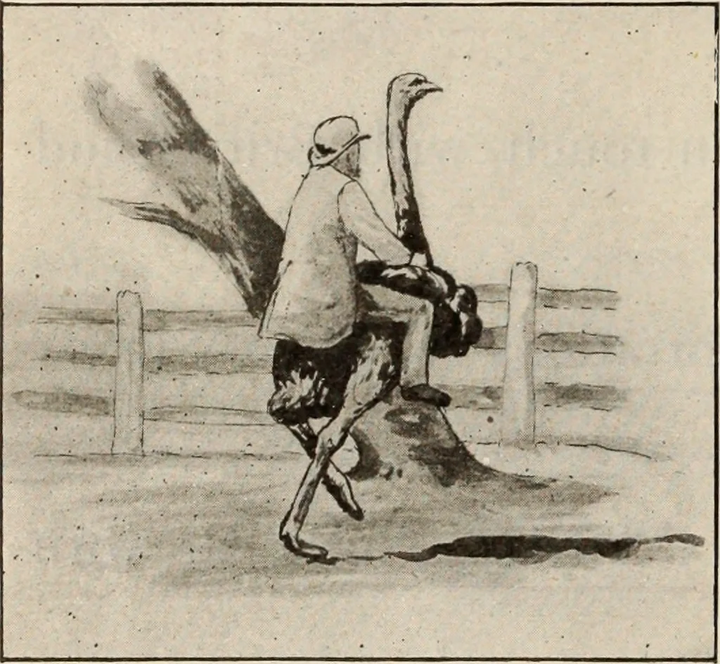 An illustration from Style (1904), 1904, leaf 1227