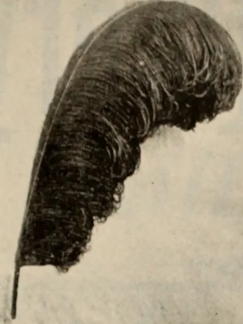 An illustration from Style (1904), 1904, leaf 1228