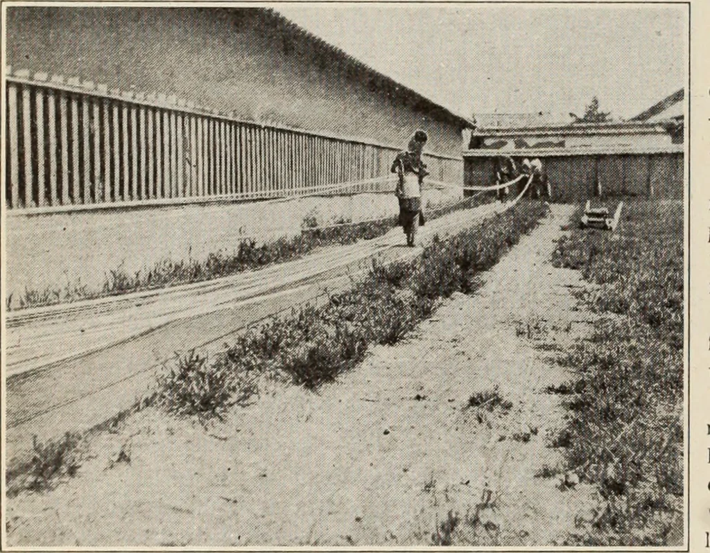An illustration from Style (1904), 1904, leaf 1251