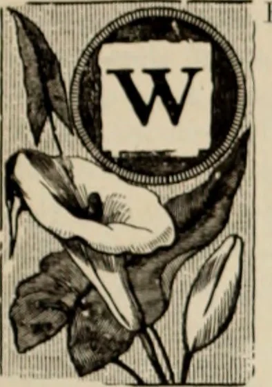 An illustration from Style (1904), 1904, leaf 1254