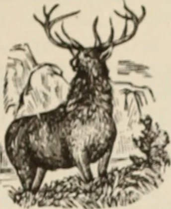An illustration from Style (1904), 1904, leaf 1260