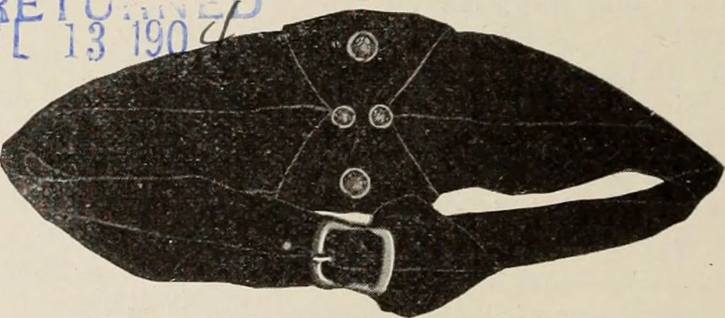 An illustration from Style (1904), 1904, leaf 1275