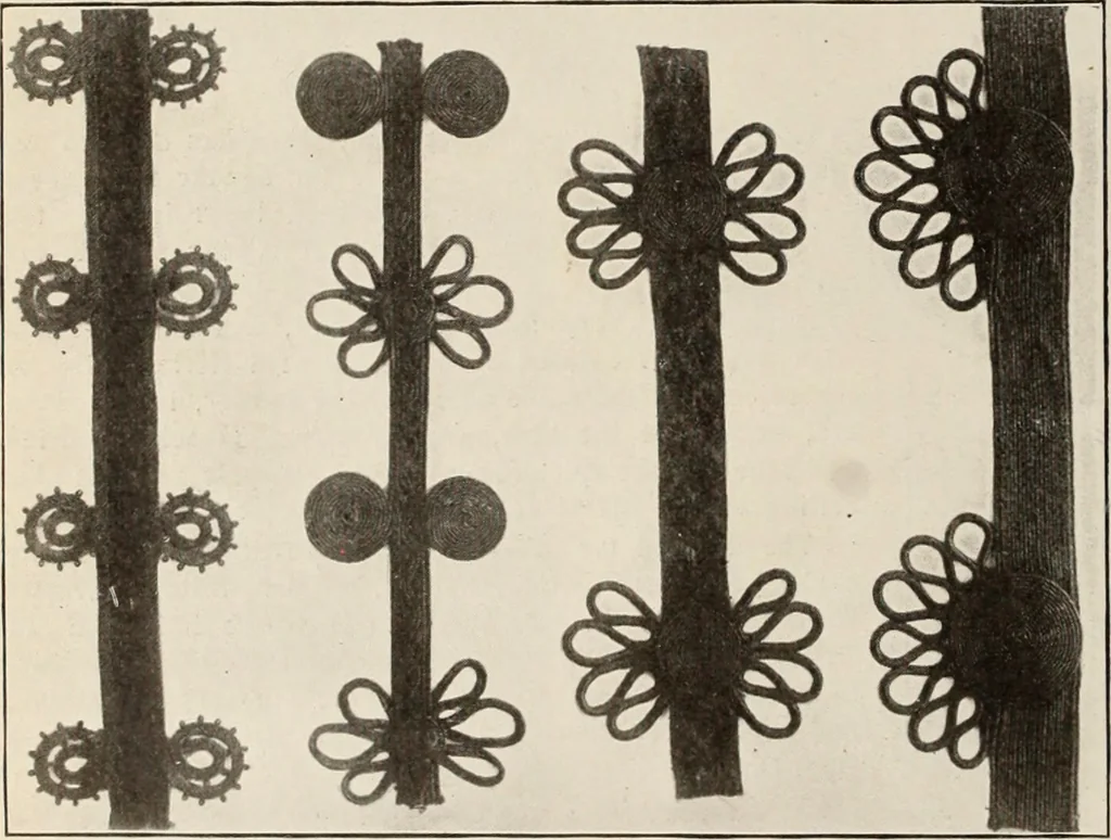 An illustration from Style (1904), 1904, leaf 1277