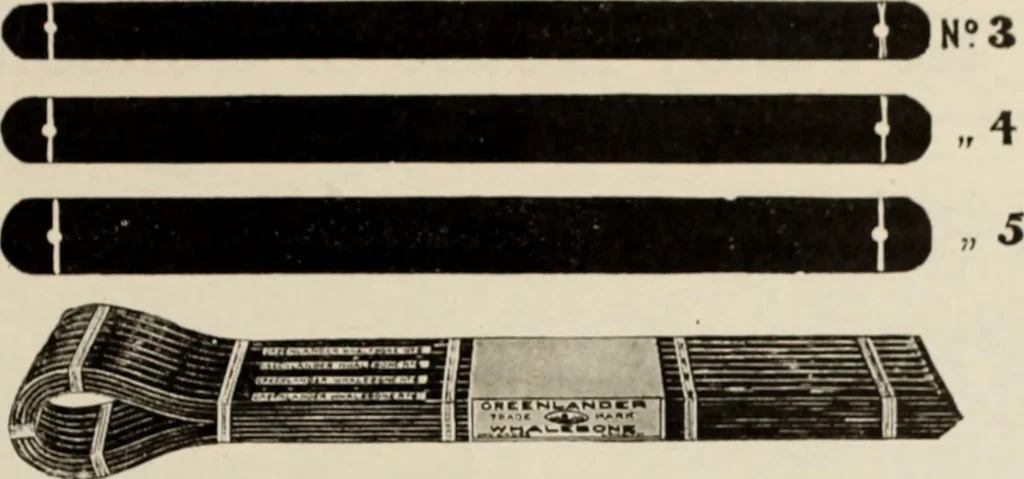 An illustration from Style (1904), 1904, leaf 1280