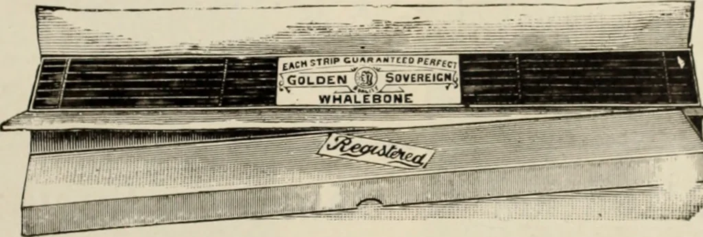 An illustration from Style (1904), 1904, leaf 1280