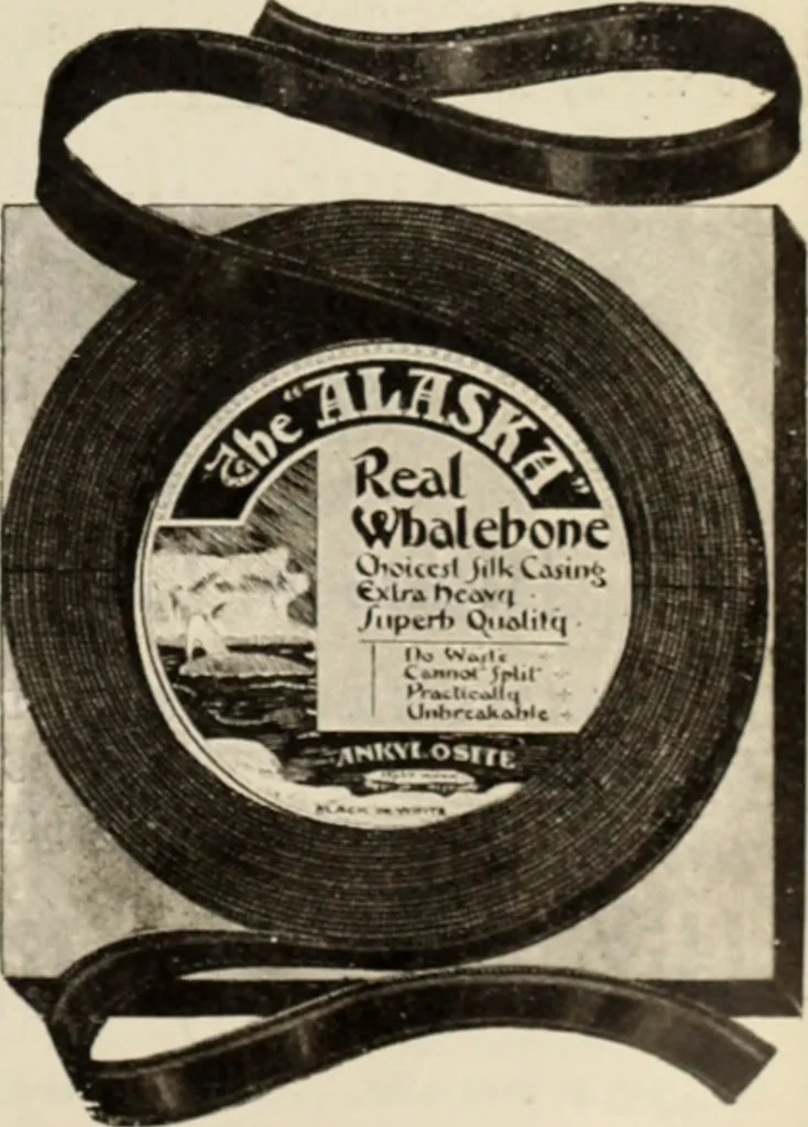 An illustration from Style (1904), 1904, leaf 1280