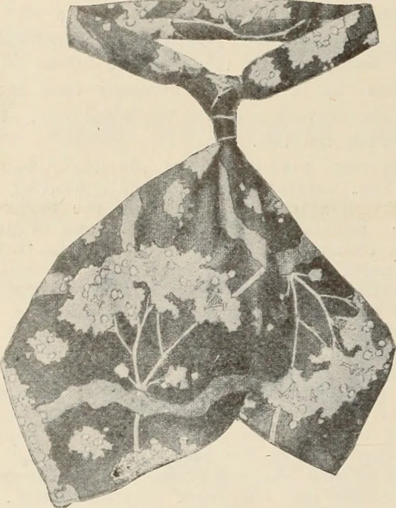 An illustration from Style (1904), 1904, leaf 1311