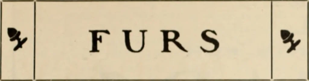 An illustration from Style (1904), 1904, leaf 1340