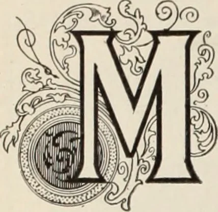 An illustration from Style (1904), 1904, leaf 1385
