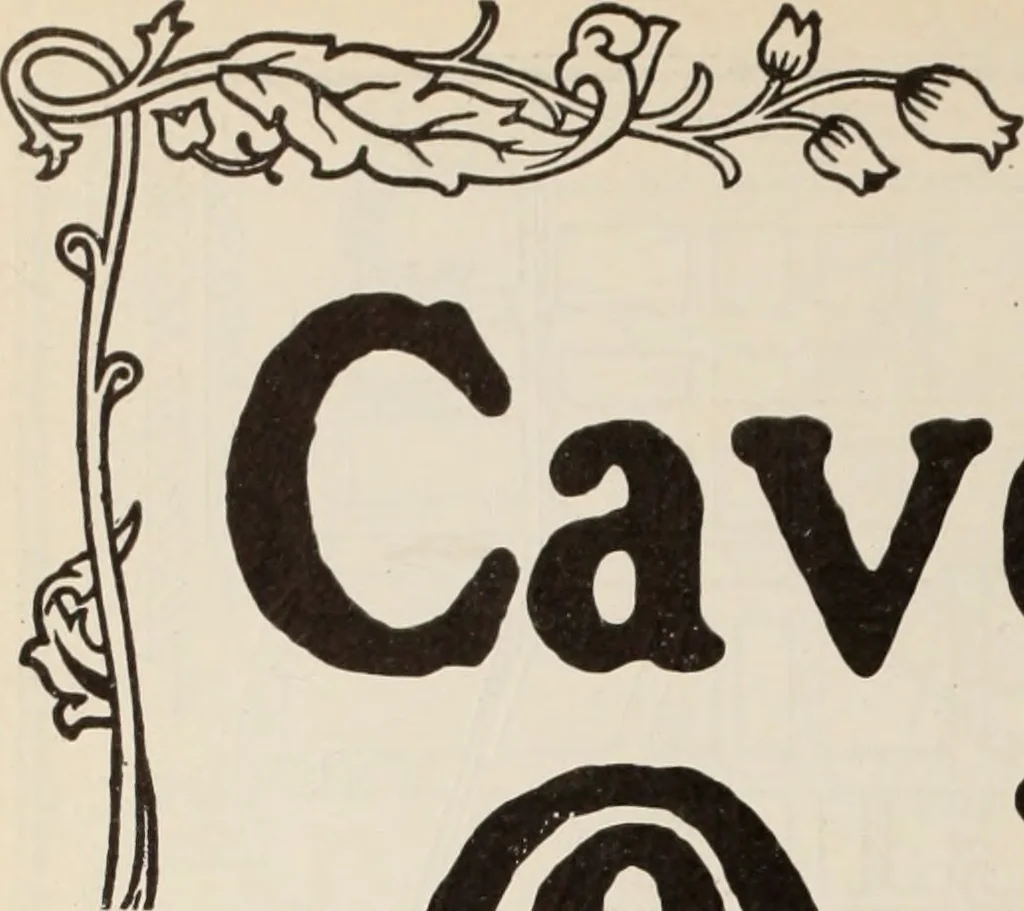 An illustration from Style (1904), 1904, leaf 1455