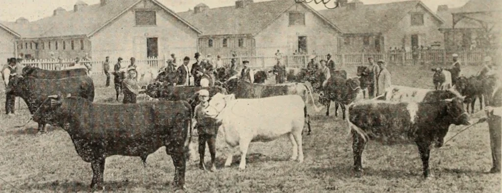 An illustration from Style (1904), 1904, leaf 1469