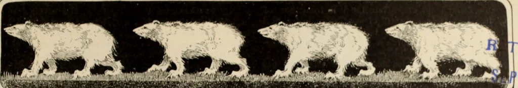 An illustration from Style (1904), 1904, leaf 1596