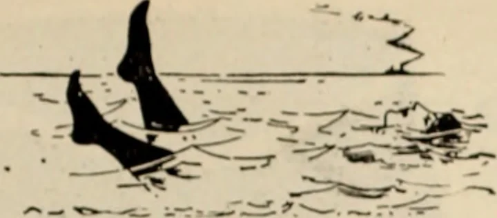 An illustration from Style (1904), 1904, leaf 1598