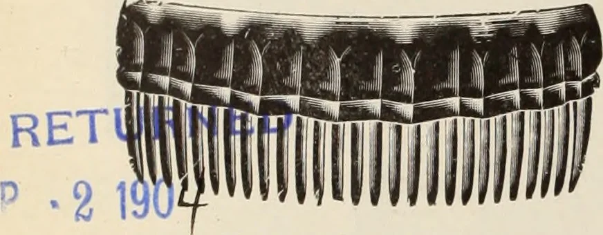 An illustration from Style (1904), 1904, leaf 1603