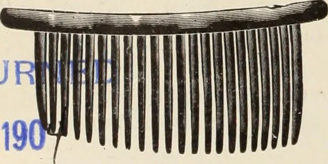 An illustration from Style (1904), 1904, leaf 1603