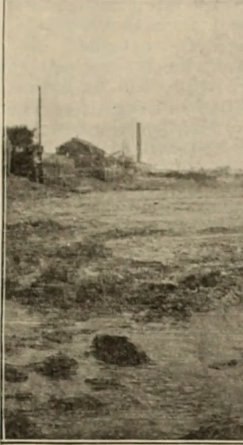 An illustration from Style (1904), 1904, leaf 1614