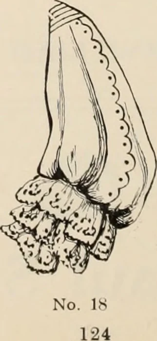 An illustration from Style (1904), 1904, leaf 1639