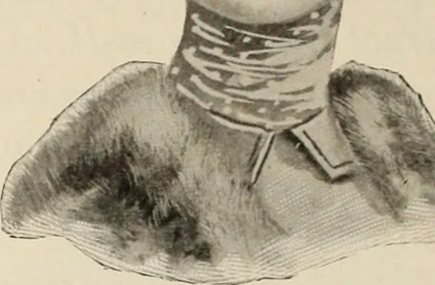 An illustration from Style (1904), 1904, leaf 1655