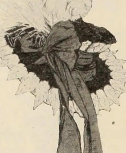 An illustration from Style (1904), 1904, leaf 1735