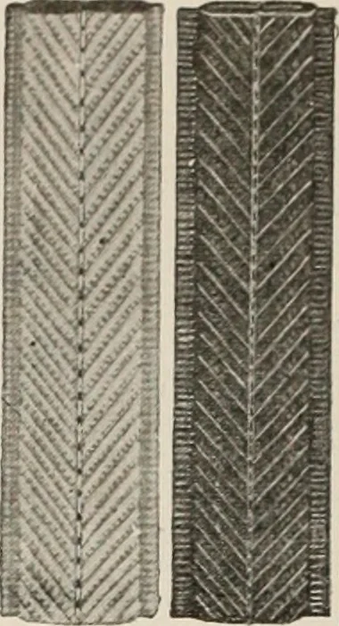 An illustration from Style (1904), 1904, leaf 1755