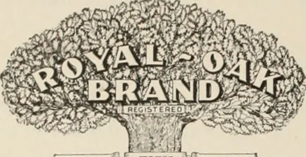 An illustration from Style (1904), 1904, leaf 1789