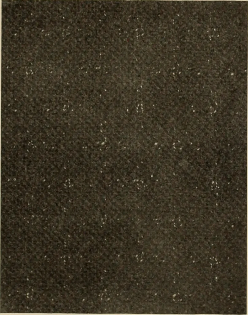 An illustration from Style (1904), 1904, leaf 1944