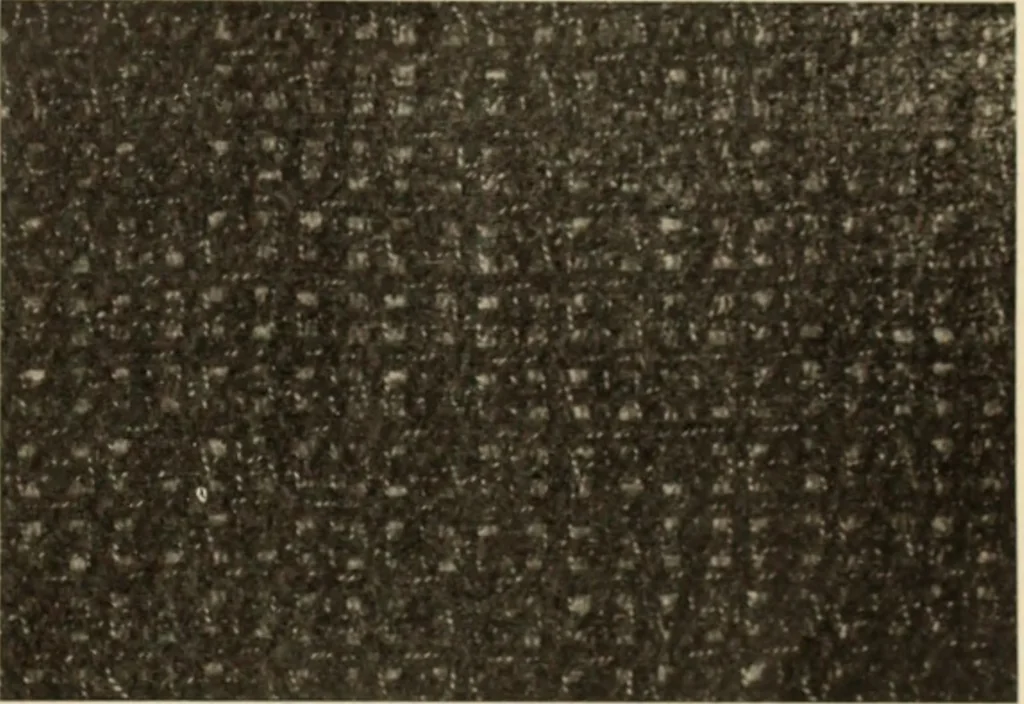 An illustration from Style (1904), 1904, leaf 1944