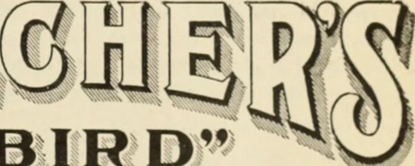 An illustration from Style (1904), 1904, leaf 1952