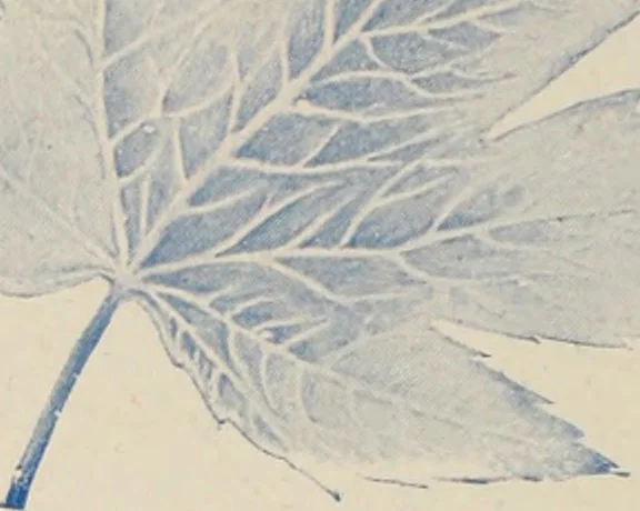 An illustration from Style (1904), 1904, leaf 2013