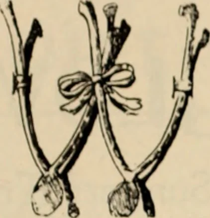 An illustration from Style (1904), 1904, leaf 2020