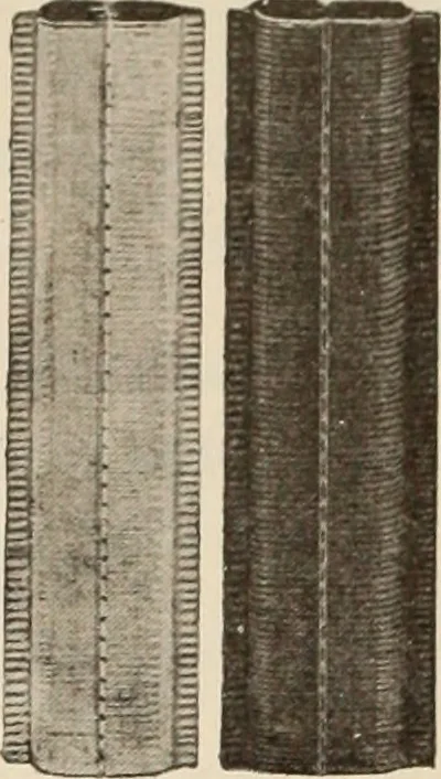 An illustration from Style (1904), 1904, leaf 2099