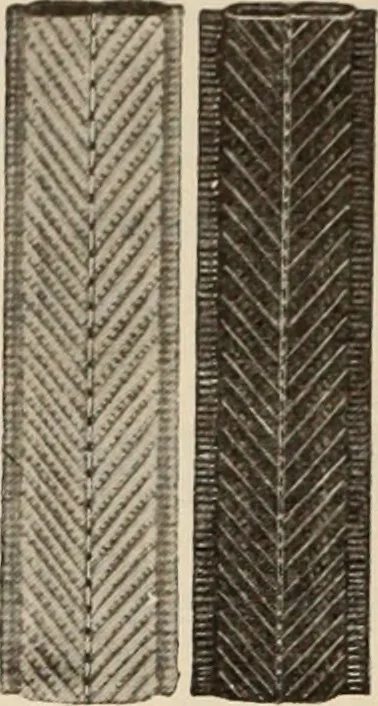 An illustration from Style (1904), 1904, leaf 2099