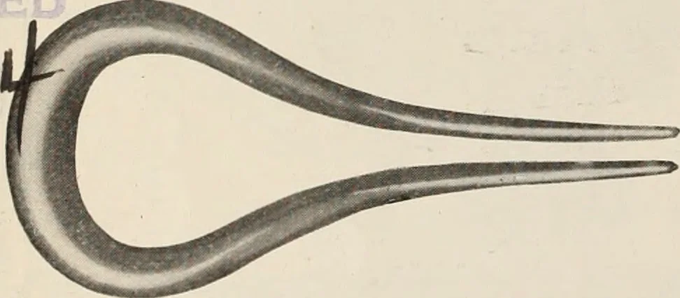 An illustration from Style (1904), 1904, leaf 21