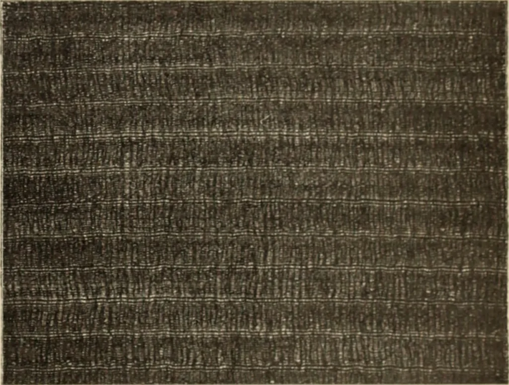 An illustration from Style (1904), 1904, leaf 2126