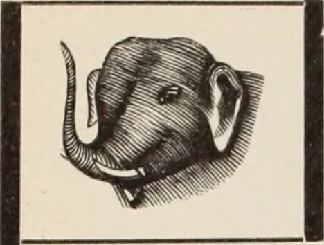 An illustration from Style (1904), 1904, leaf 215