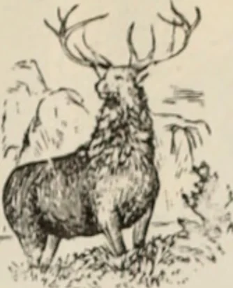 An illustration from Style (1904), 1904, leaf 218