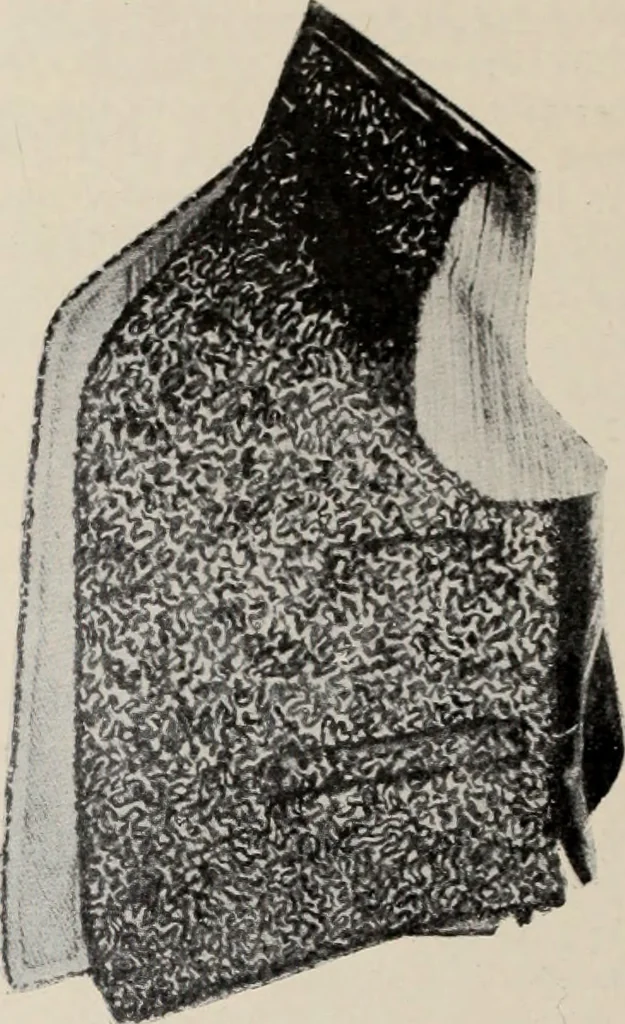 An illustration from Style (1904), 1904, leaf 223