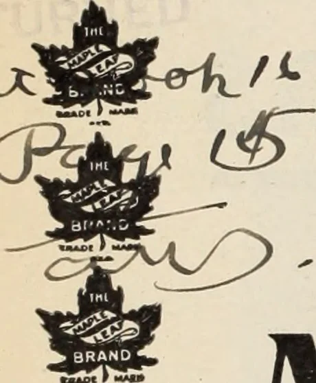 An illustration from Style (1904), 1904, leaf 23