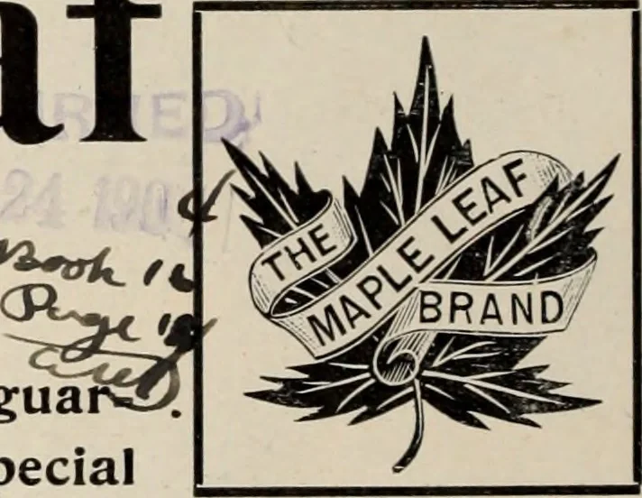 An illustration from Style (1904), 1904, leaf 23