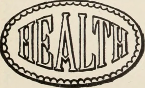 An illustration from Style (1904), 1904, leaf 241