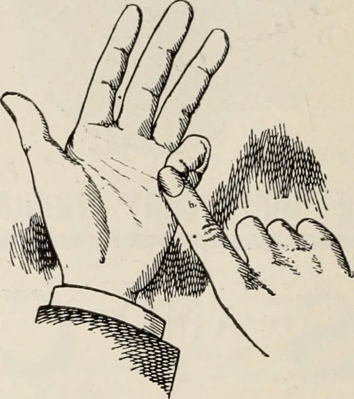 An illustration from Style (1904), 1904, leaf 253